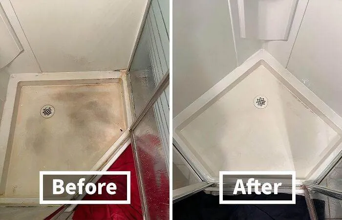 66617Cea8A14F 100 Most Liked Panda Products