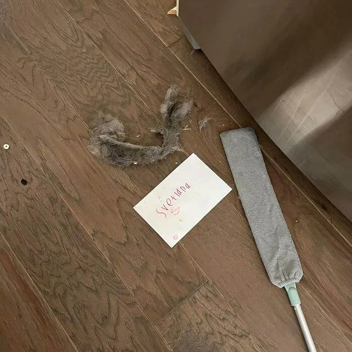 6665D9D05F60C 100 Most Liked Panda Products