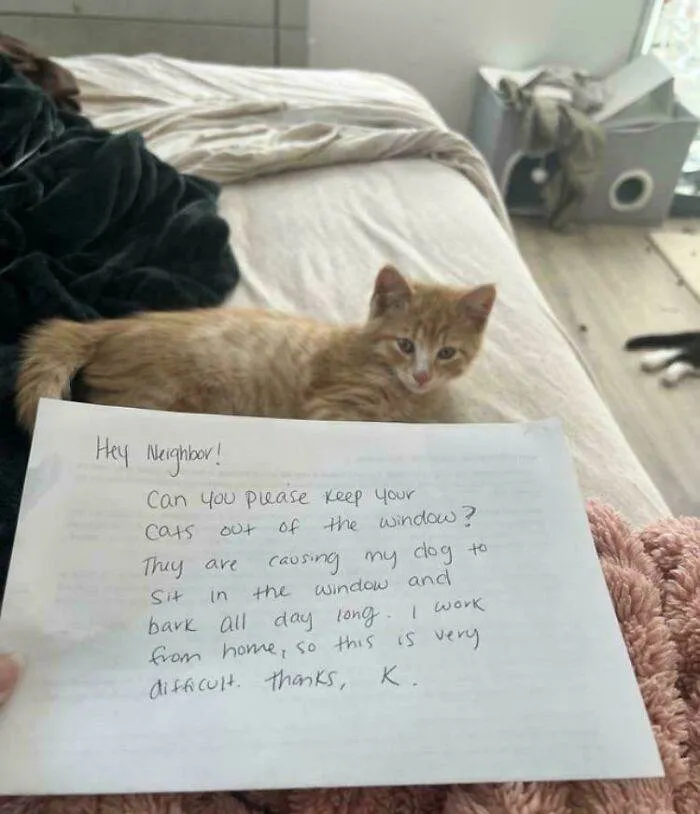 6666Aa7367A2D Vloixppyuazc1 Jpeg 700