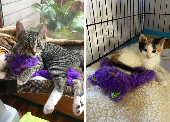 30 Epic Products That Might Change Your Life