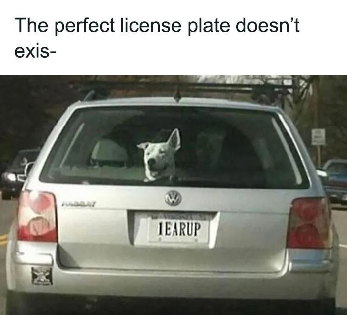 6666E7F3A547F Hilarious Random Memes 6666Edf9Bb4F0 700