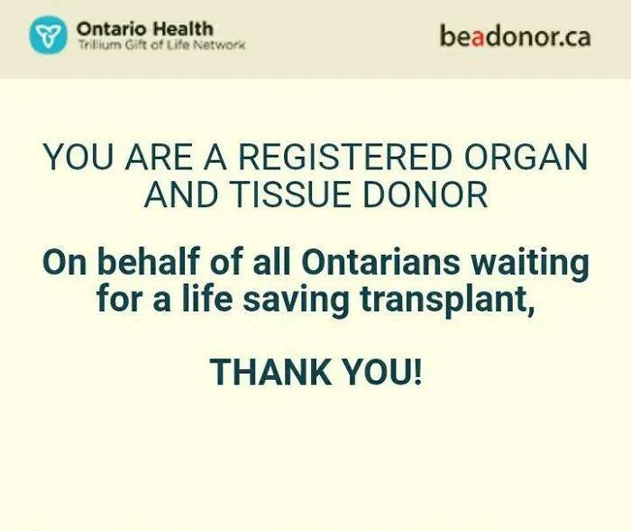 6668078Ec1Dd9 P3U981Qiwig81 700