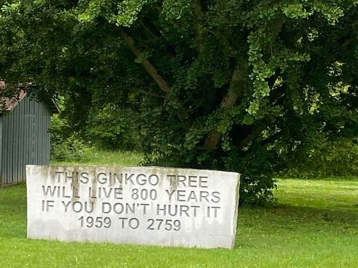 6668136A8D408 Exchanging Passive Aggressive Notes