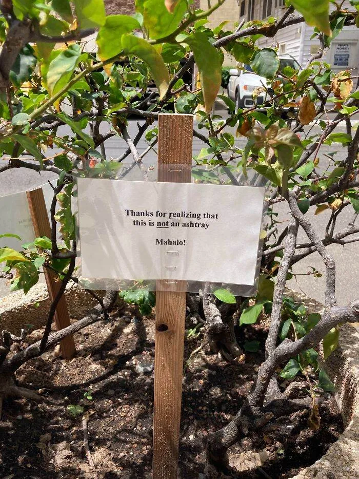 666815E4900A1 Exchanging Passive Aggressive Notes