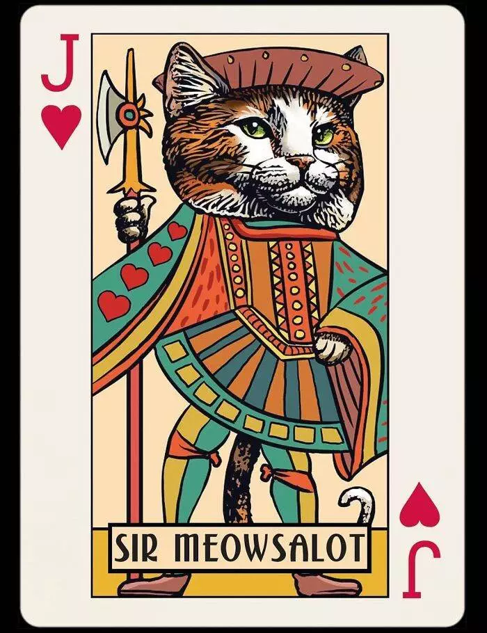 66694Aaae377B Celebrities Dogs And Cats Playing Cards Instachetart