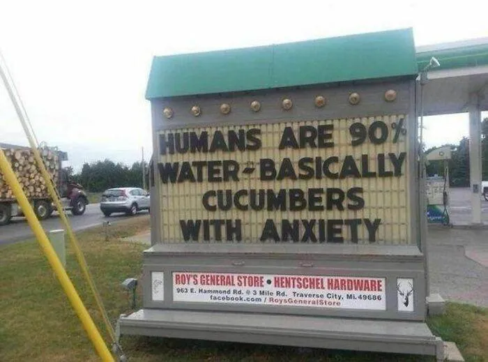 45 Hilarious And Absurd Memes To Enjoy And Connect With,