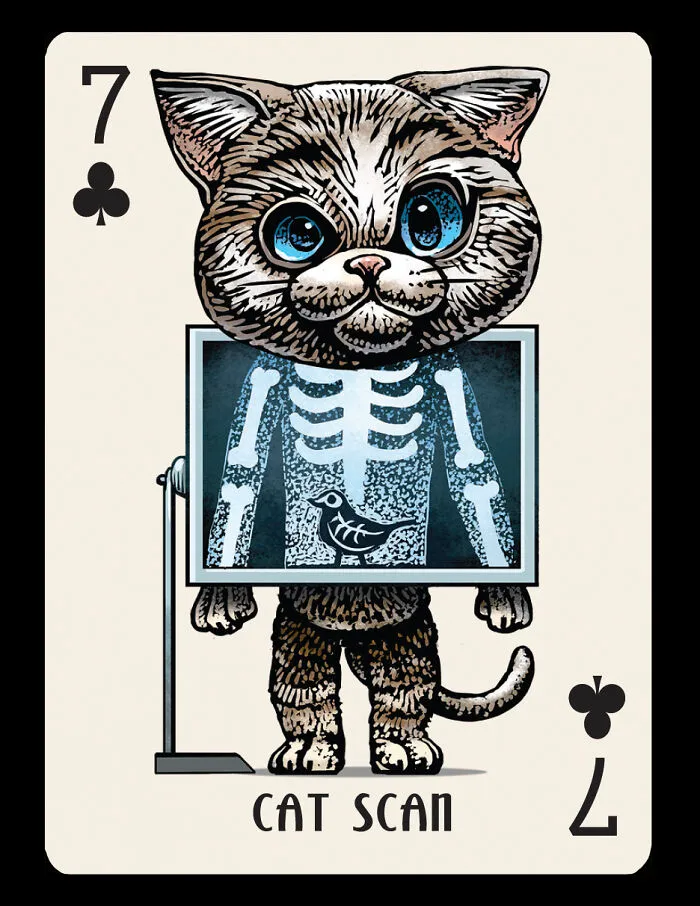 Chet Phillips Brings Feline And Canine Celebrities To Life In Unique Playing Card Decks 18 Pics 6663B0C556Be5 700