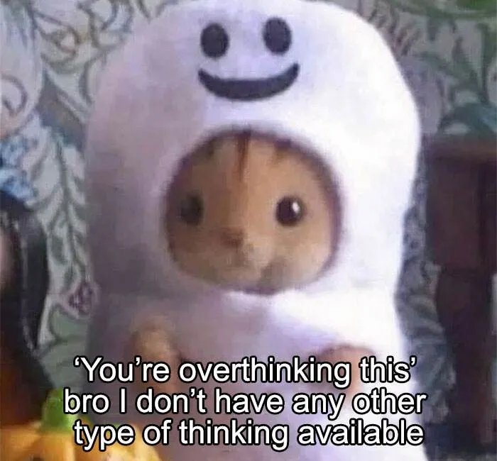 45 Hilarious And Absurd Memes To Enjoy And Connect With,