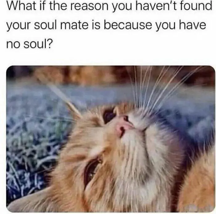 Philosophy Memes125 66616554E6D44 700