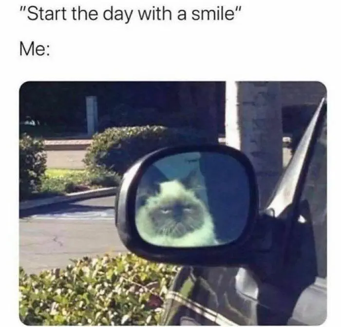 50 Funny Philosophical Memes To Help If You're Going Through An Existential Crisis