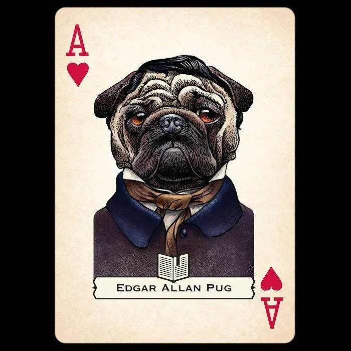 Vvvvvvvvvvvvv 66626A21E625B 700