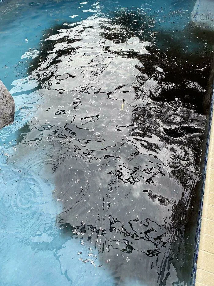 6666D33776569 Zg49Kuwfldm51 700