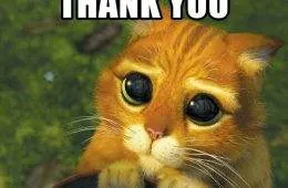 666C2Af1B53B4 Fckxfb5 Jpeg 700