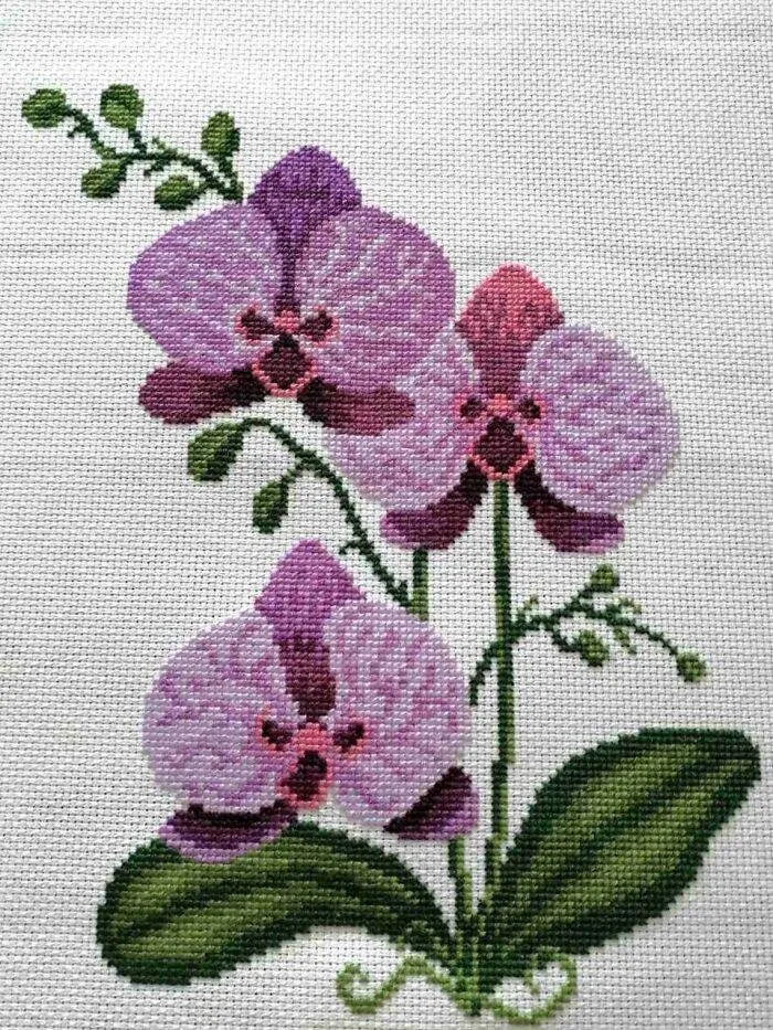 My Digital Cross Stitch Patterns 66890B60Cf435 700