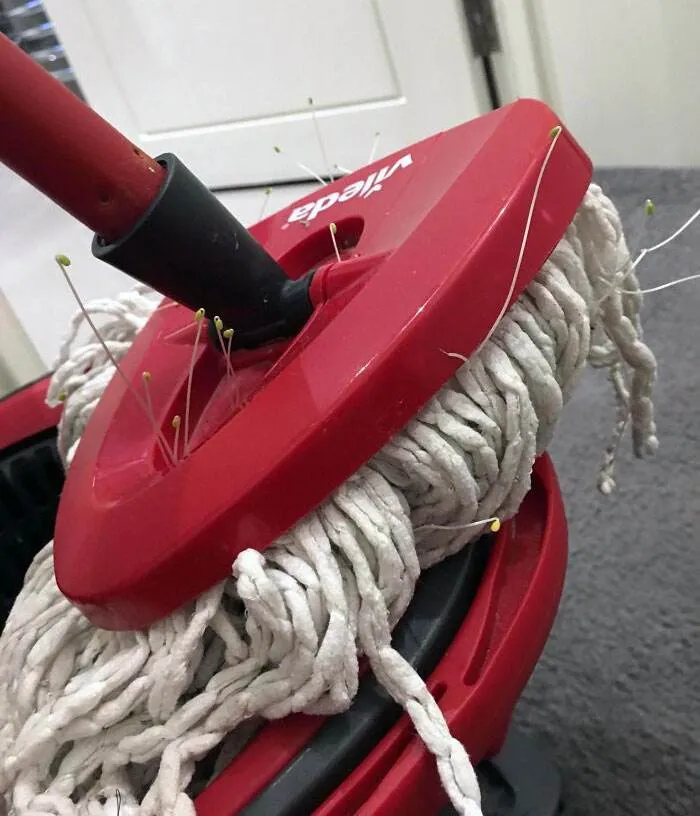 House Cleaning Fails 10 668404Aec1C5E 700