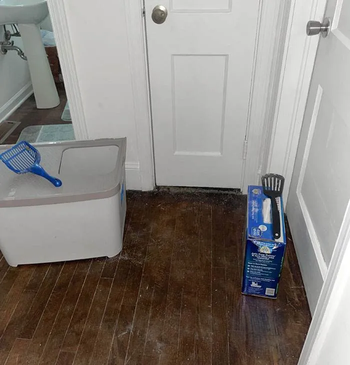 30 Cleaning Fails That Will Make Your Day Look Better
