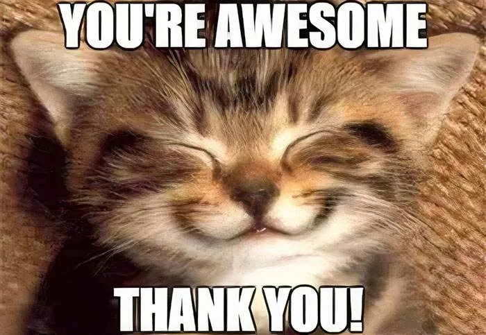 Thank You Meme 43 666C50864E423 700
