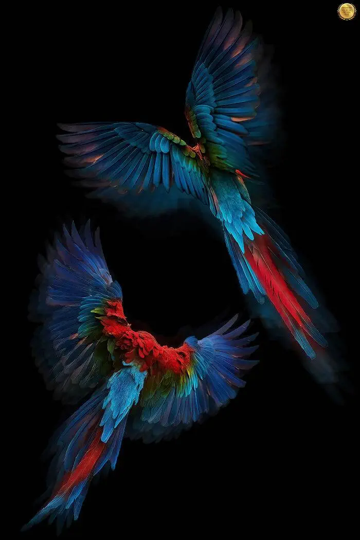 25 66Baa5Dfa5F9E 700