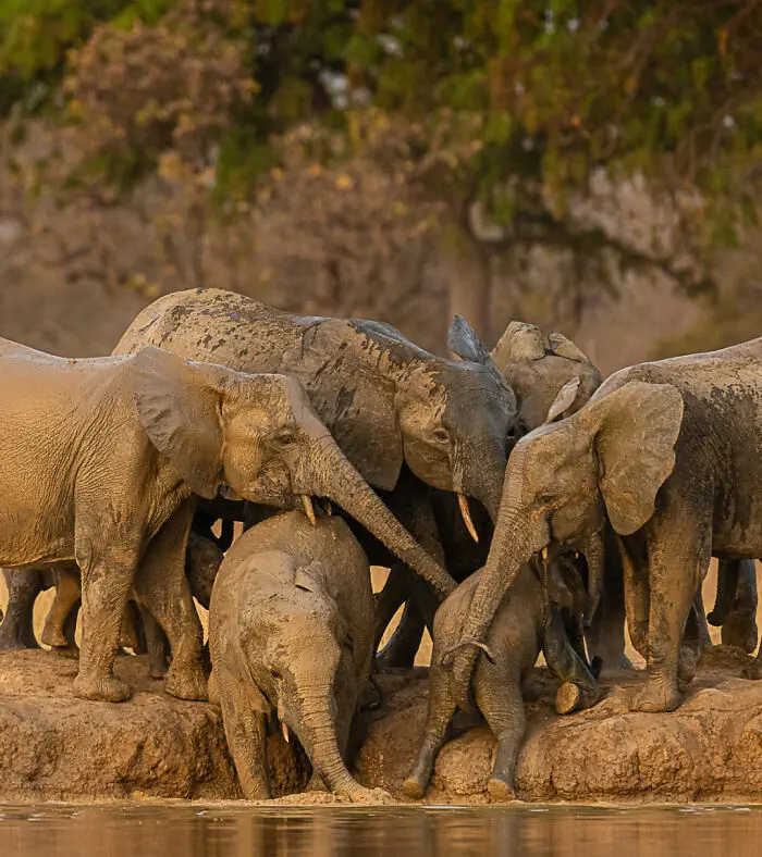 32 Stunning Animal Snapshots From One Eyelands Images Of The Day That Will Brighten Your Day 66Bb033Af3C7C 700