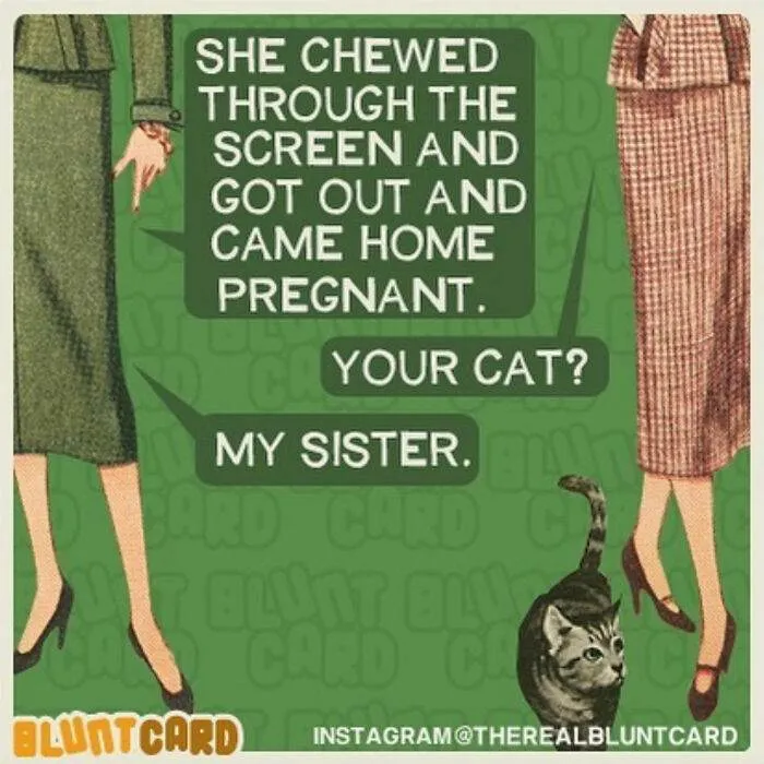 30 Hilarious And Relatable ‘Bluntcards’