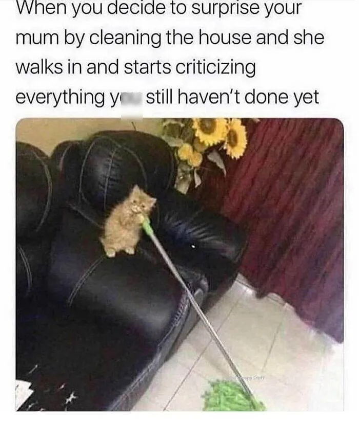 66B9A63008C57 Funny Animal Feed Memes