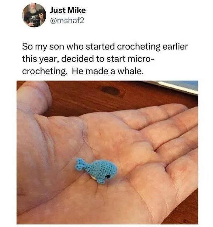 66B9A6402D2B2 Funny Animal Feed Memes