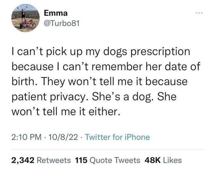 30 Irresistibly Cute Animal Memes To Instantly Brighten Your Day