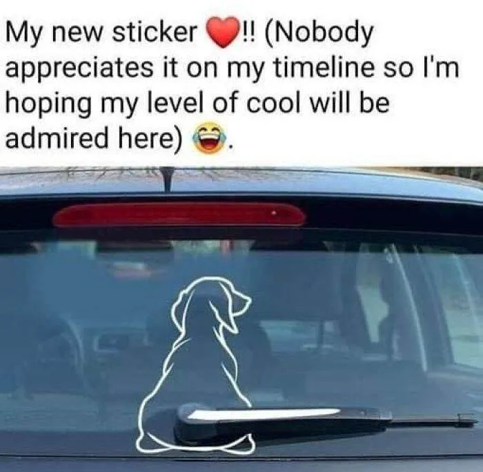 30 Irresistibly Cute Animal Memes To Instantly Brighten Your Day