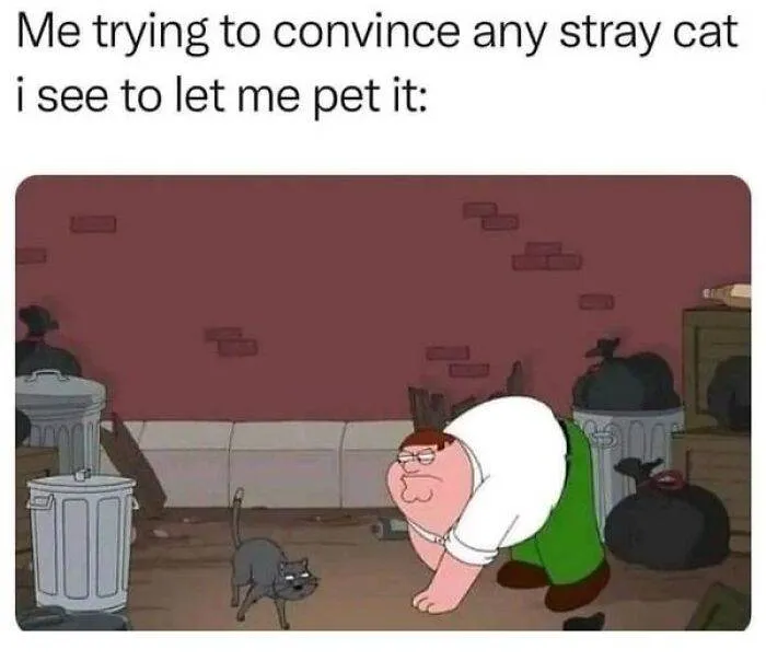 66B9Ac5E9F021 Funny Animal Feed Memes