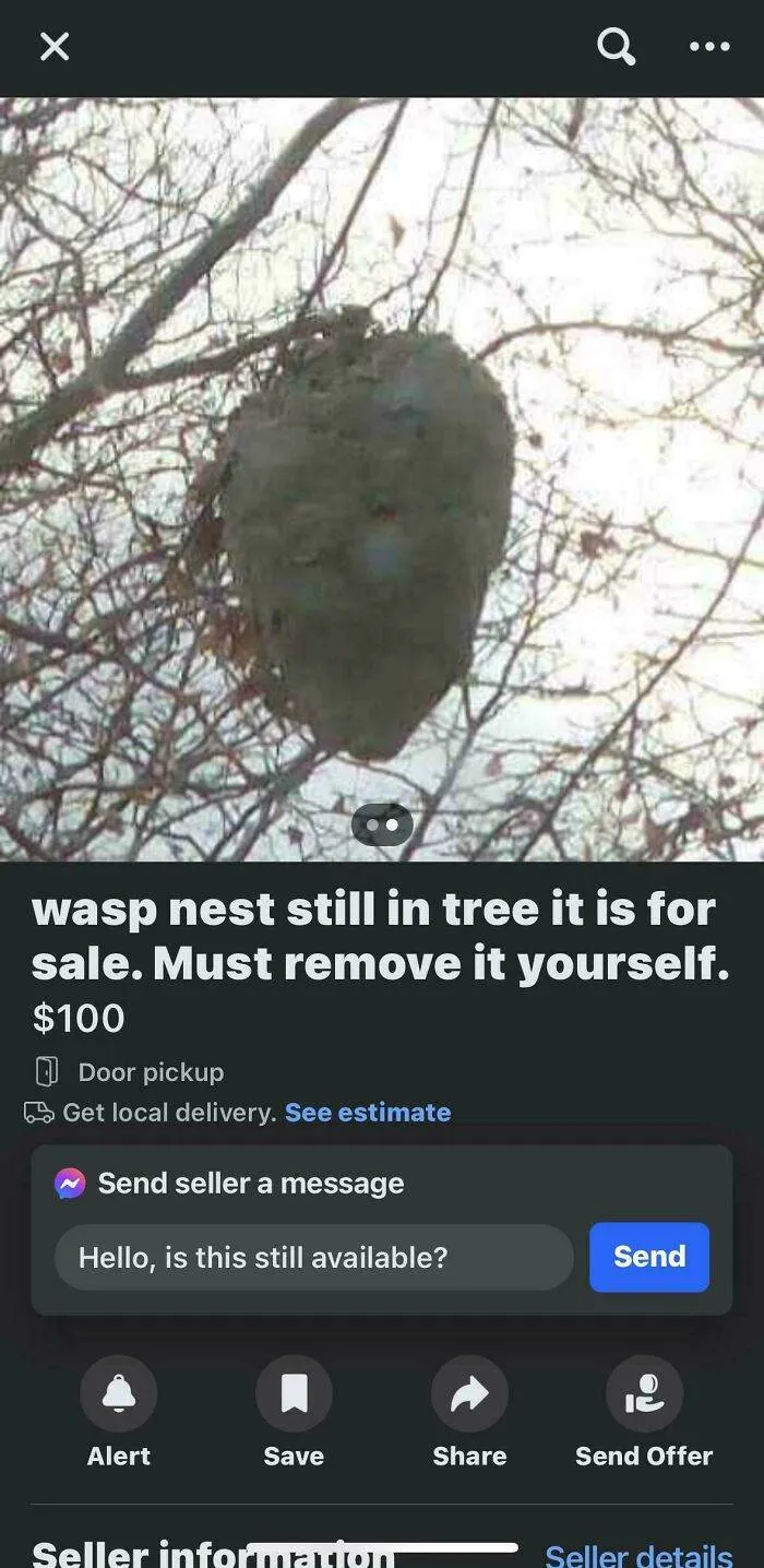 66B9B4440415A Nrhff0K8Ul6C1 Jpeg 700