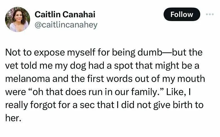 30 Hilarious Tweets You Absolutely Have To Read