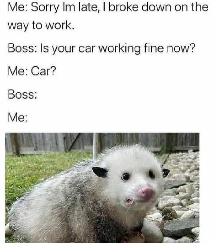 30 Memes You’ll Definitely Want To Share With Everyone