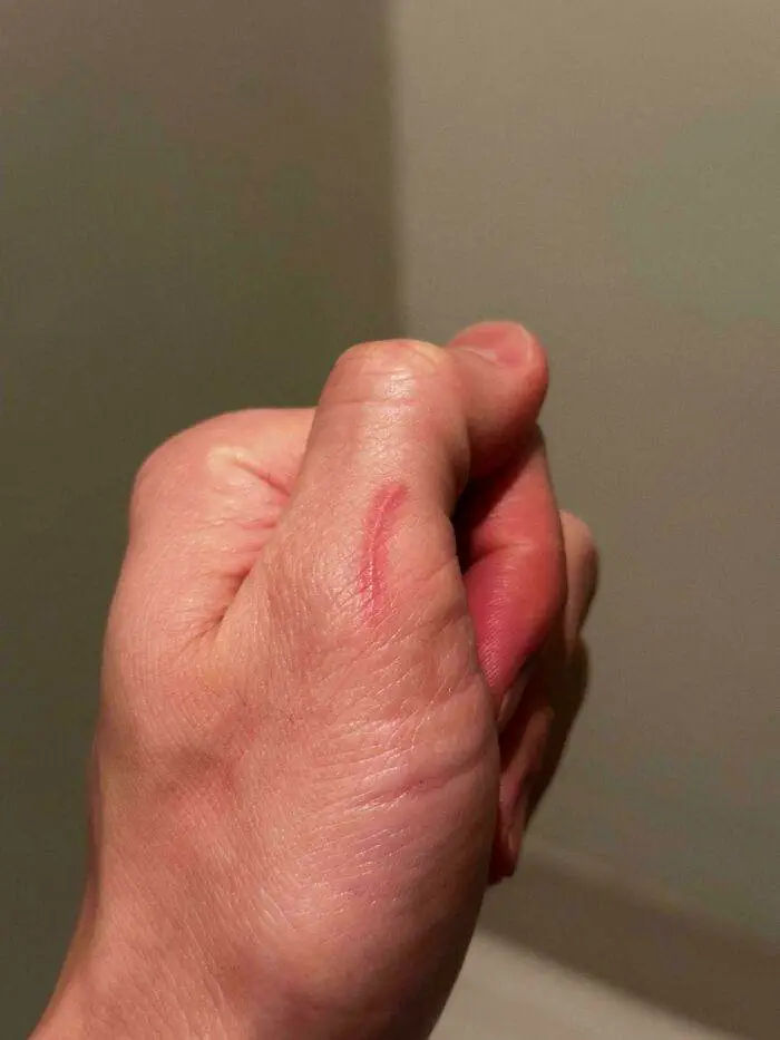 30 New ‘Mildly Interesting’ Pics To Keep You Entertained For A Bit