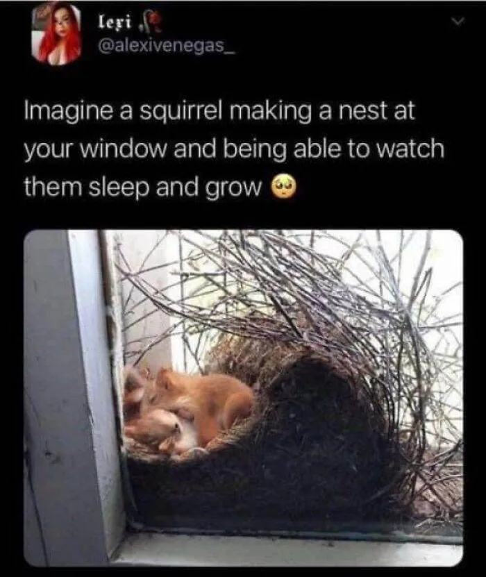 66E136C055E44 458972441 500574422596247 7132715904513893257 N 700