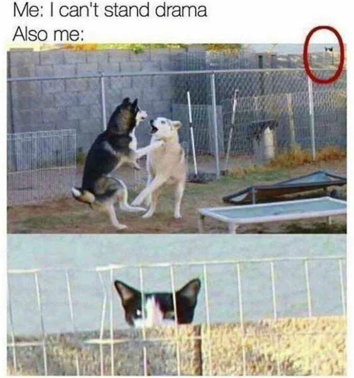 66E137C089B8C 456443205 490056650314691 7690818173117092372 N 700