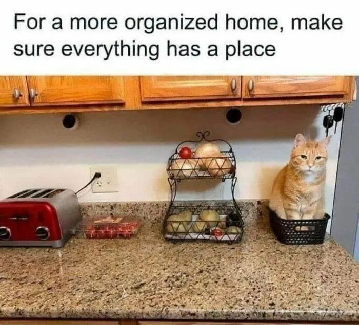 66E138Ba2D2Ea 458412176 499605806026442 2686872607643342688 N 700