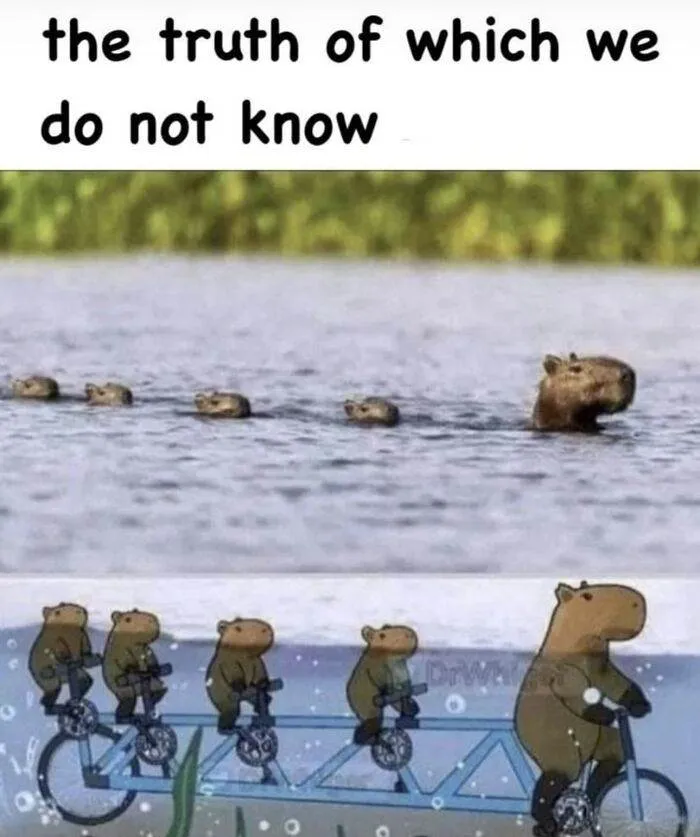 66E139A4Aa10D 458216480 498633482790341 3357960327251281762 N 700