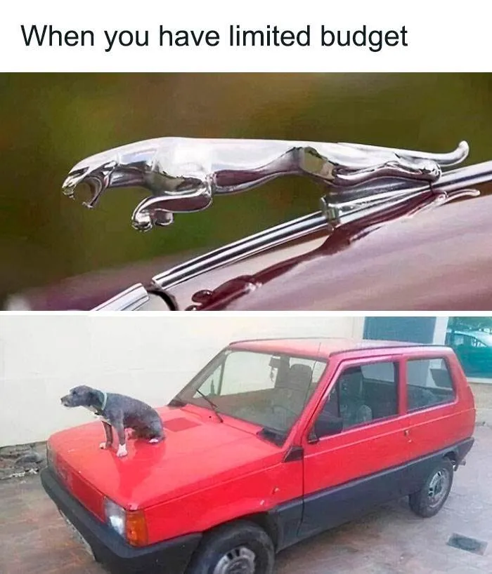 Funny Cars Memes Pics 21 66Dae0551F34D 700