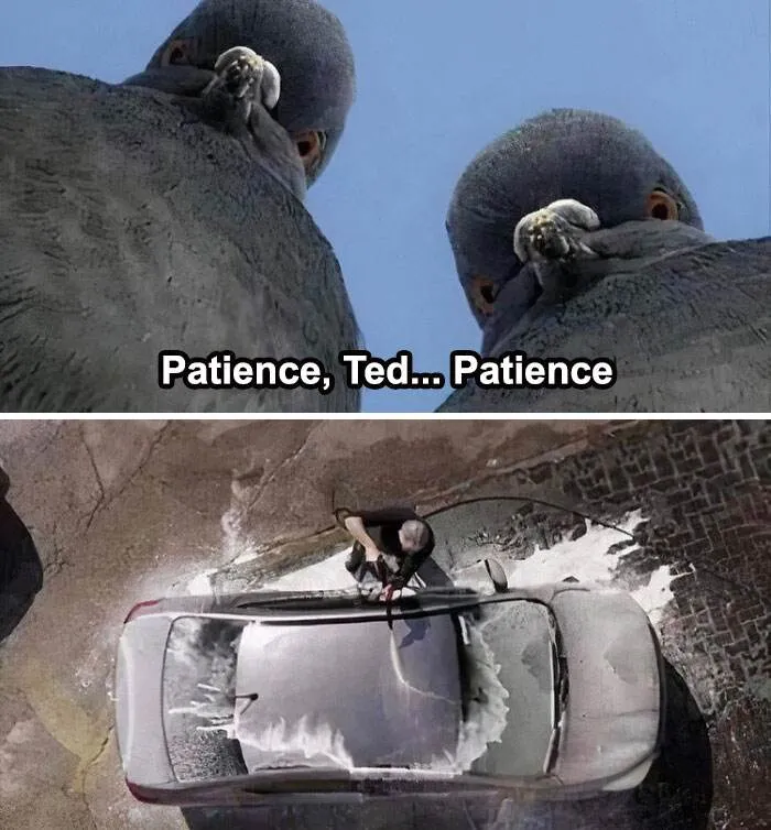 Funny Cars Memes Pics 4 66Dac55123367 700