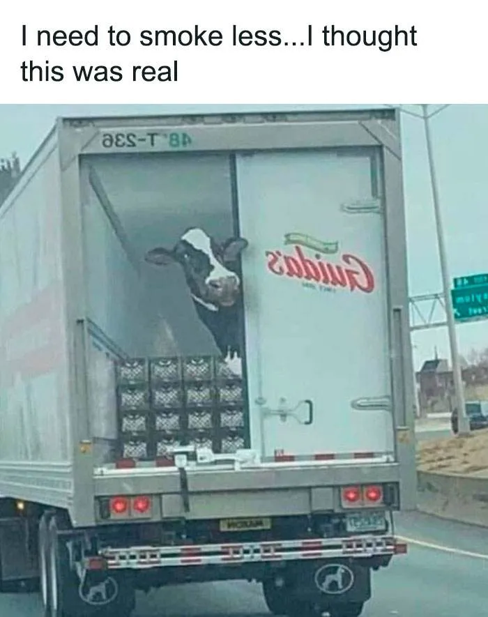 30 Hilarious Car Memes Every Car Enthusiast Will Love