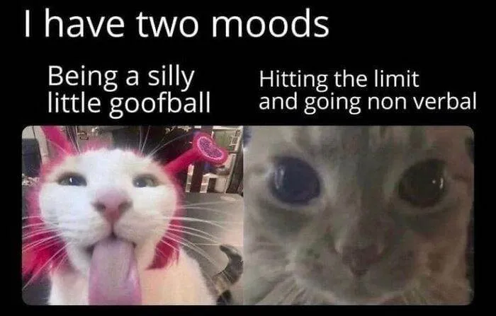 30 Hilarious Memes For Those Who Can't Go A Day Without One