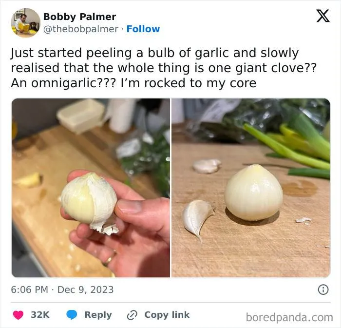 1733548710582194557 Png 700