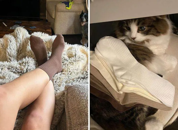 66Fcf0Efe2430 Neutral Cotton Socks