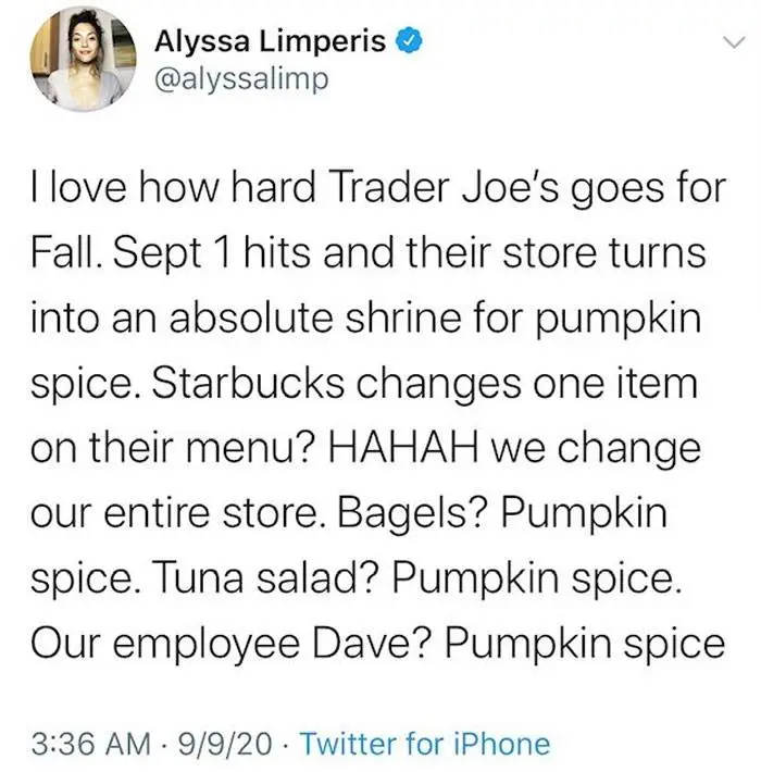 Fall Meme 17 6708D7147C80C 700
