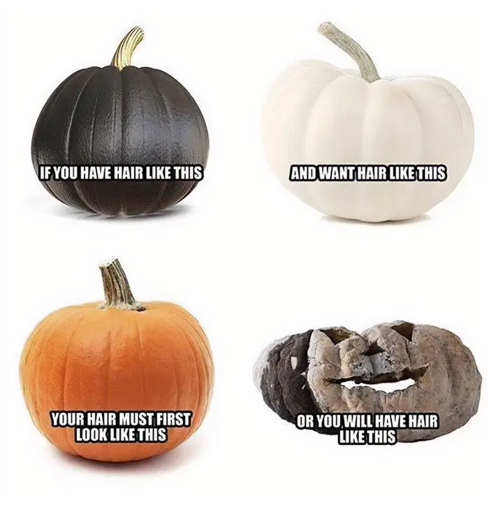 Fall Meme 22 6708D725Be1F3 700