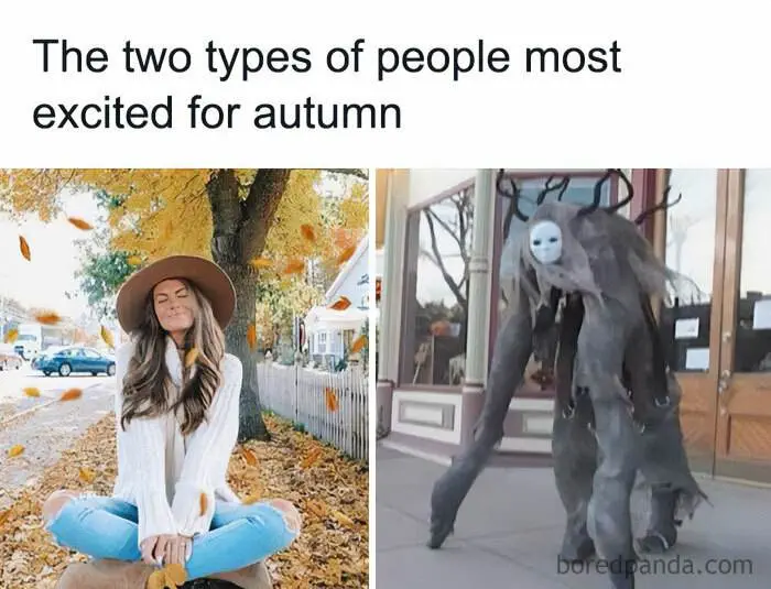 Fall Meme 23 6708D72919086 700