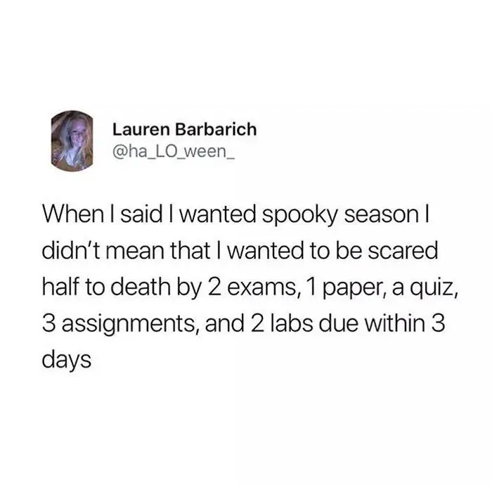 Fall Meme 28 6708D737Abfa0 700