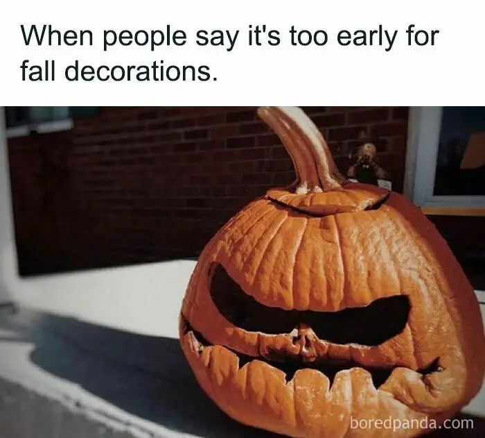 30 More Fall Memes That Capture The Cozy Essence Of The Season