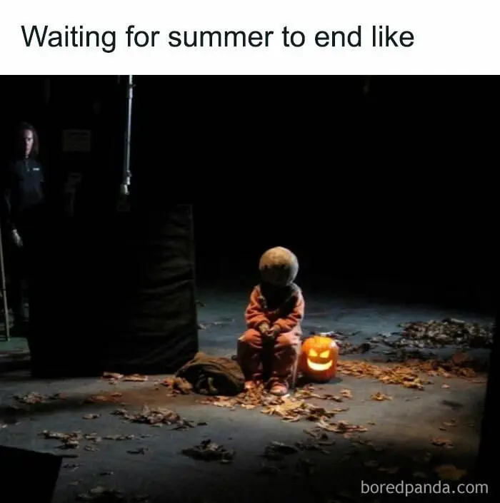 Fall Meme 38 6708D762838Ea 700