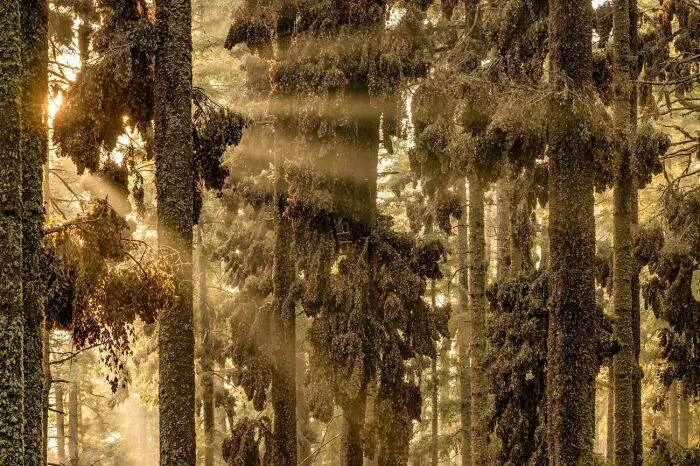 Spectacular Winning Images From The 2024 Siena International Photo Awards 6708B634C6B76 700 1